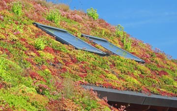 Hungate living roof systems