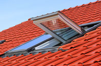 Hungate roof window